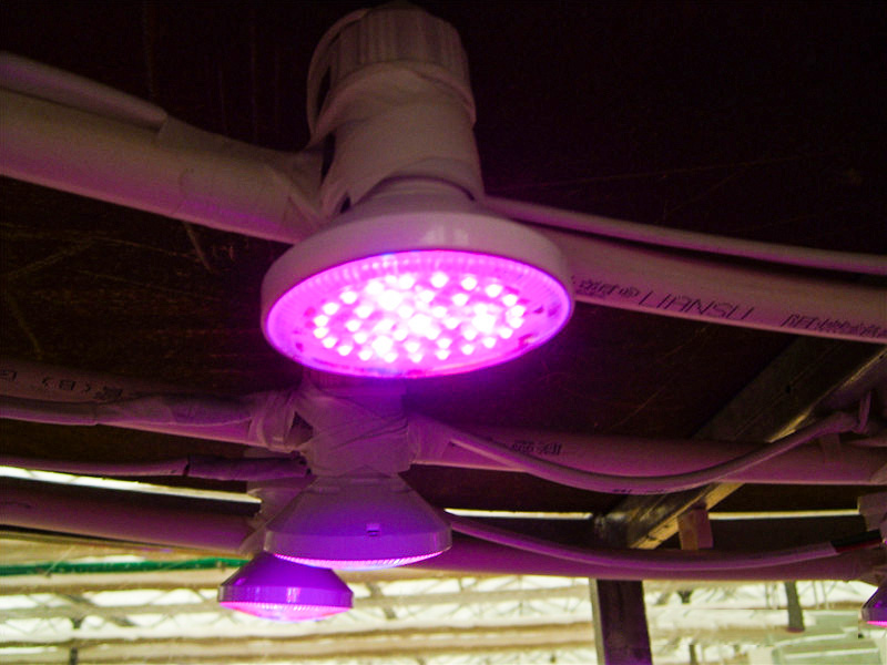 LED植物生长灯头
